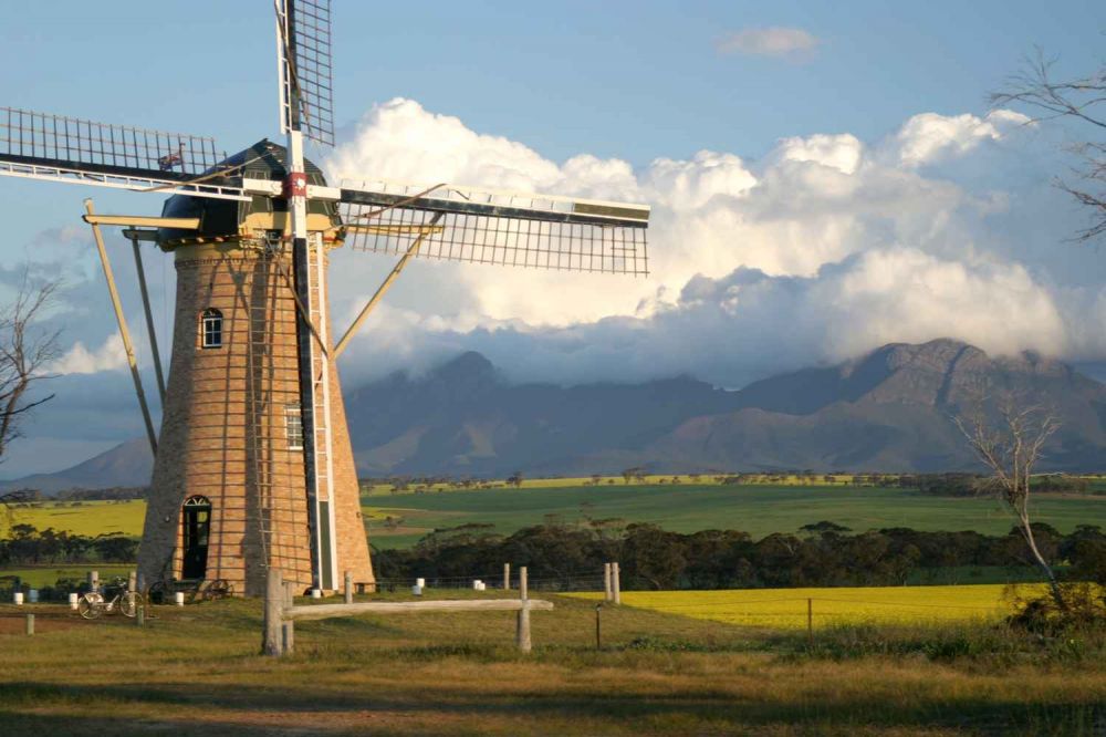 The Lily Stirling Range - Dutch Windmill WA