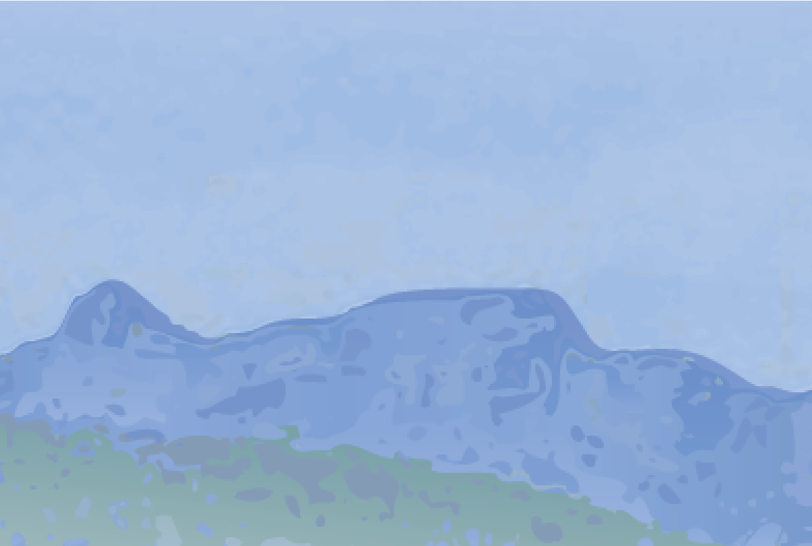 Job Advertisement - Cleaner