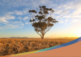 Ordinary Council Meeting 25 February 2026