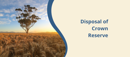 Community Comment - Disposal of Crown Reserve 22657