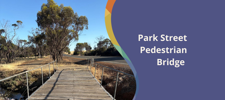 Park Street Pedestrian Bridge closed for works
