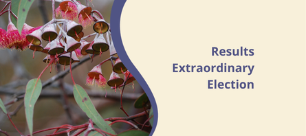 Results Extraordinary Election 26 March 26