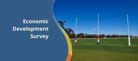 Economic Development Survey