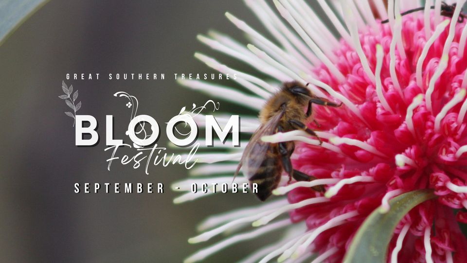 Bloom Festival 2022
